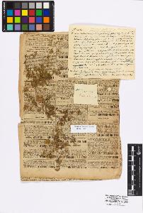 SW_BNB_s3010-17291_IMG-0000000001