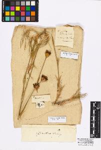 SW_BNB_s3010-17292_IMG-0000000001