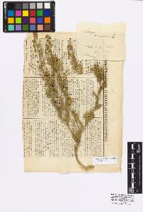 SW_BNB_s3010-17294_IMG-0000000001