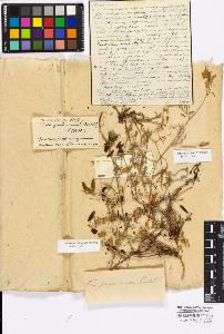 SW_BNB_s3010-17295_IMG-0000000001