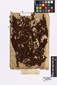 SW_BNB_s3010-17297_IMG-0000000001