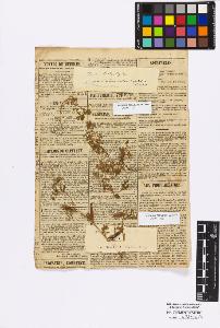 SW_BNB_s3010-17299_IMG-0000000001