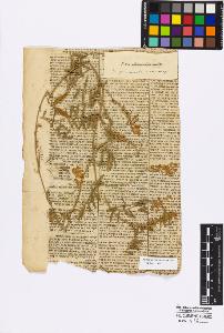 SW_BNB_s3010-17300_IMG-0000000001