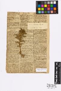 SW_BNB_s3010-17301_IMG-0000000001