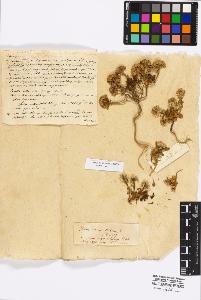 SW_BNB_s3010-17302_IMG-0000000001