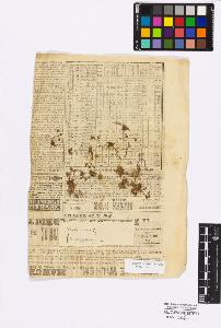 SW_BNB_s3010-17303_IMG-0000000001