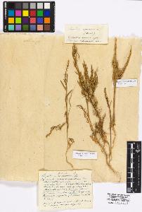 SW_BNB_s3010-17304_IMG-0000000001