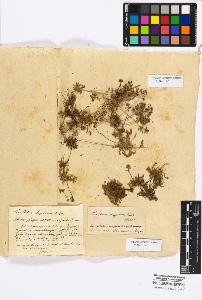 SW_BNB_s3010-17305_IMG-0000000001