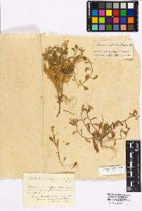 SW_BNB_s3010-17307_IMG-0000000001