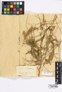 SW_BNB_s3010-17308_IMG-0000000001