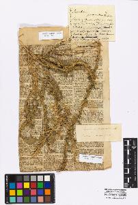 SW_BNB_s3010-17309_IMG-0000000001