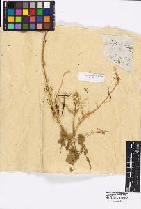 SW_BNB_s3010-17311_IMG-0000000001