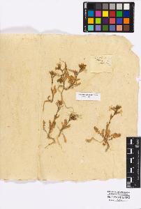 SW_BNB_s3010-17312_IMG-0000000001