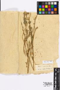 SW_BNB_s3010-17313_IMG-0000000001