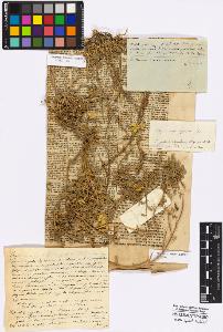 SW_BNB_s3010-17314_IMG-0000000001