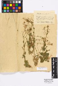 SW_BNB_s3010-17315_IMG-0000000001