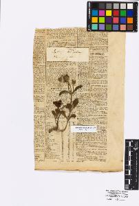 SW_BNB_s3010-17316_IMG-0000000001