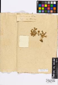 SW_BNB_s3010-17317_IMG-0000000001