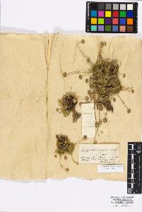 SW_BNB_s3010-17318_IMG-0000000001