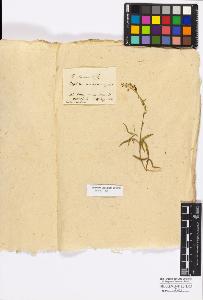 SW_BNB_s3010-17319_IMG-0000000001