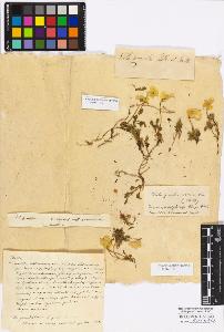 SW_BNB_s3010-17320_IMG-0000000001