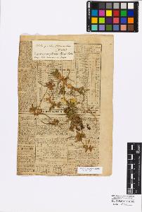 SW_BNB_s3010-17322_IMG-0000000001