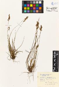 SW_BNB_s3020-00027_IMG-0000000001