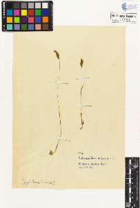 SW_BNB_s3020-00028_IMG-0000000001