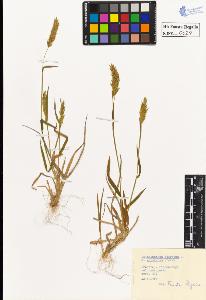 SW_BNB_s3020-00029_IMG-0000000001
