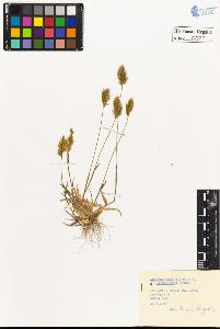 SW_BNB_s3020-00030_IMG-0000000001