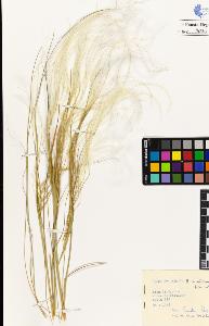 SW_BNB_s3020-00031_IMG-0000000001