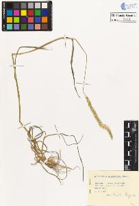 SW_BNB_s3020-00034_IMG-0000000001