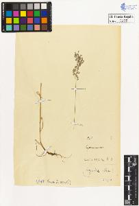 SW_BNB_s3020-00036_IMG-0000000001