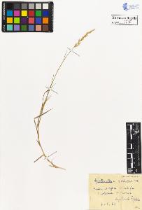 SW_BNB_s3020-00037_IMG-0000000001