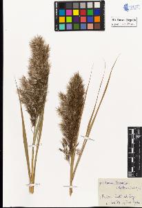 SW_BNB_s3020-00038_IMG-0000000001