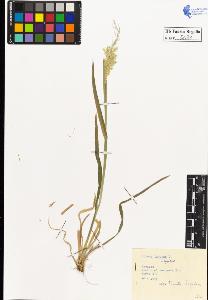 SW_BNB_s3020-00039_IMG-0000000001