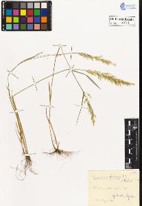 SW_BNB_s3020-00040_IMG-0000000001