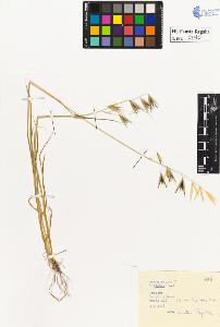 SW_BNB_s3020-00041_IMG-0000000001