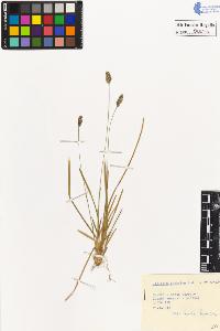 SW_BNB_s3020-00048_IMG-0000000001