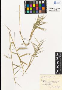 SW_BNB_s3020-00050_IMG-0000000001
