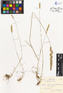 SW_BNB_s3020-00051_IMG-0000000001