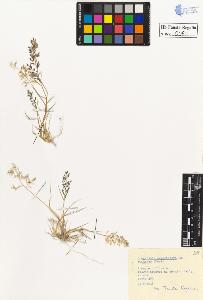 SW_BNB_s3020-00052_IMG-0000000001