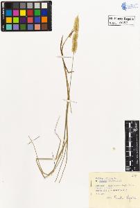 SW_BNB_s3020-00053_IMG-0000000001