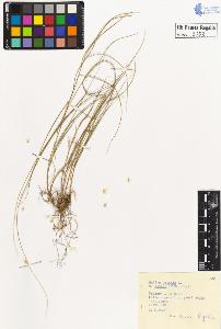 SW_BNB_s3020-00054_IMG-0000000001
