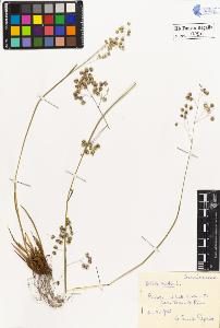 SW_BNB_s3020-00057_IMG-0000000001