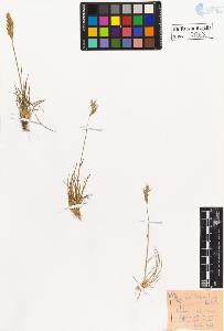 SW_BNB_s3020-00064_IMG-0000000001