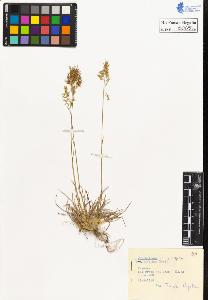 SW_BNB_s3020-00066_IMG-0000000001
