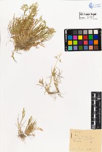 SW_BNB_s3020-00067_IMG-0000000001
