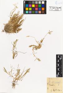 SW_BNB_s3020-00068_IMG-0000000001