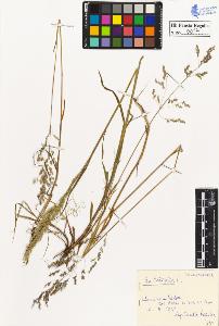SW_BNB_s3020-00080_IMG-0000000001